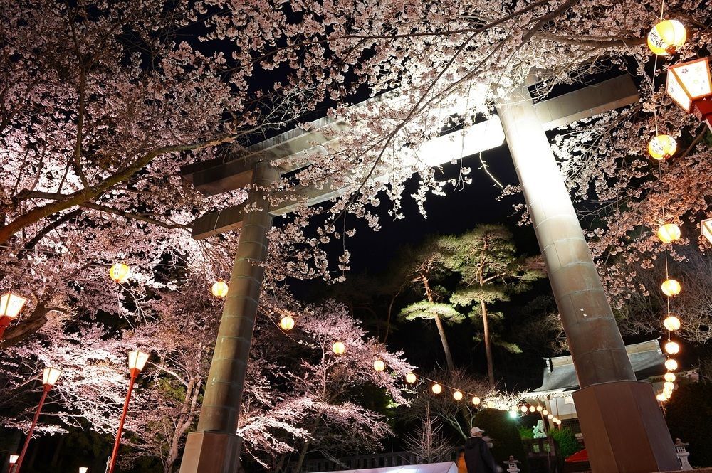Isshinkan Nikko Buitenkant foto